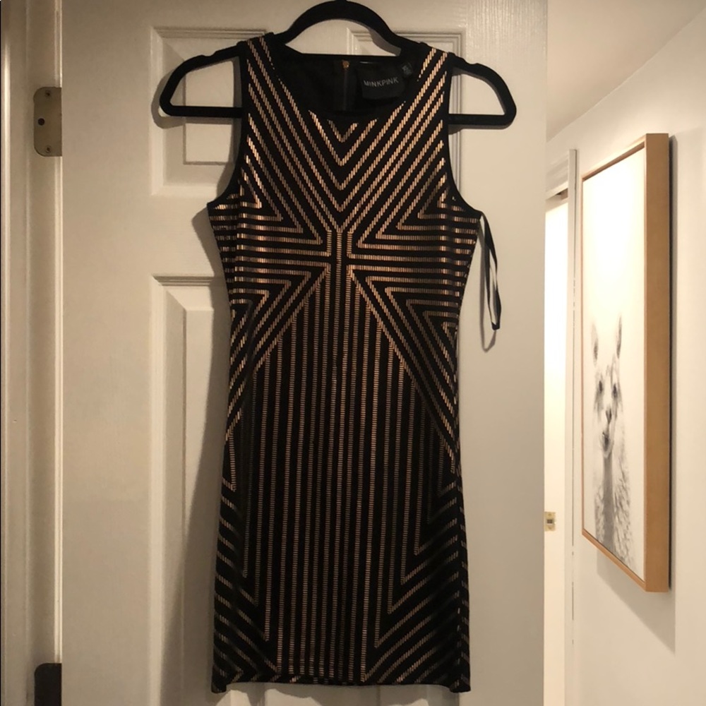 Mink Pink Dress